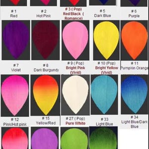 May include: A chart of 16 different colored petal shapes, numbered 1 through 54, with names like Red, Hot Pink, Violet, Dark Burgundy, Bright Pink, Bright Yellow, Pink/Hot pink, Yellow/Red, Pure White, Light Blue, Light Blue/Dark Blue, Pink/Red, Wisteria (Lavender), Light Green, and Green/Dark Green.