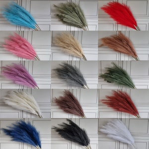 Pode incluir: Uma coleção de 12 plumas de capim-das-pampas em várias cores, incluindo azul, rosa, bege, cinza, verde, vermelho, branco e preto. As plumas estão dispostas em filas sobre um fundo branco.