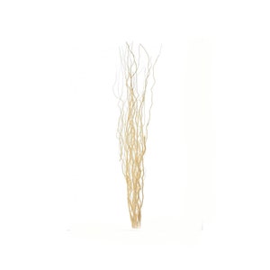 Puede incluir: Un ramo de ramas de sauce secas y rizadas de color beige natural. Las ramas están dispuestas en forma de jarrón, creando una decoración elegante.