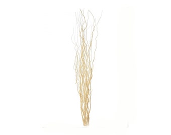 May include: A bunch of dried, curly willow branches in a natural beige color. The branches are arranged in a vase-like shape, creating a decorative display.