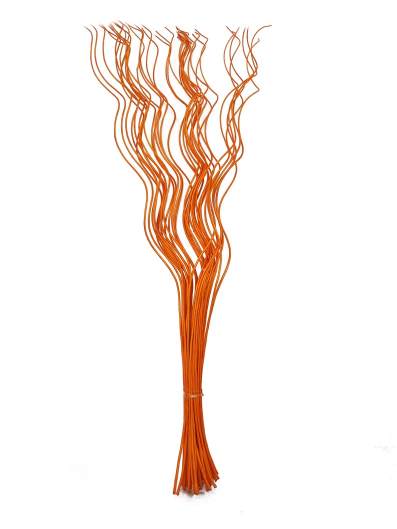 May include: A bunch of orange willow branches, all curled and twisted, are tied together at the bottom.