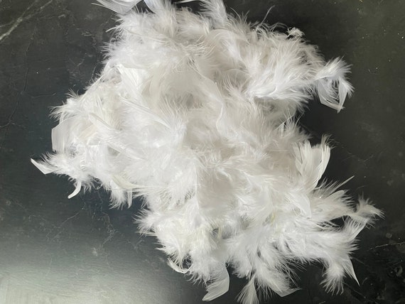 Boa en plumes fantaisie, noir, 72 po, accessoire de costume à porter pour l'Halloween | Party City Boa en plumes fantaisie, noir, 72 po, accessoire de costume à porter pour l'Halloween | Party City