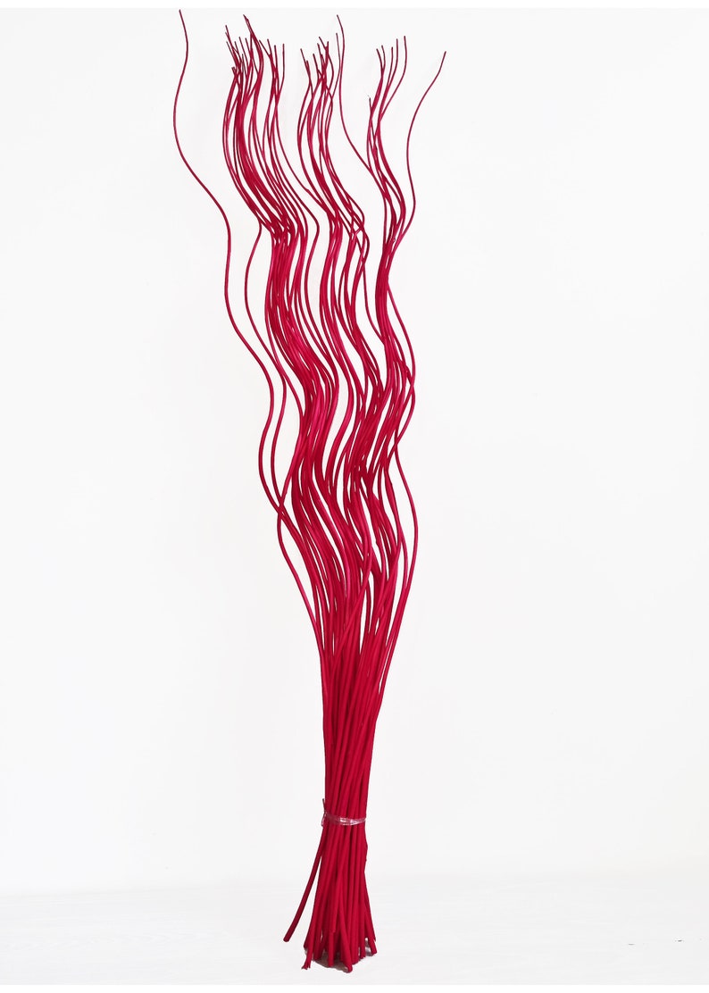 May include: A bunch of bright pink curly willow branches, tied together at the bottom.