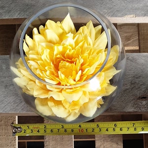 Puede incluir: Un arreglo de flores de seda amarilla en un tazón de vidrio transparente. La flor tiene muchos pétalos y está dispuesta en forma circular.