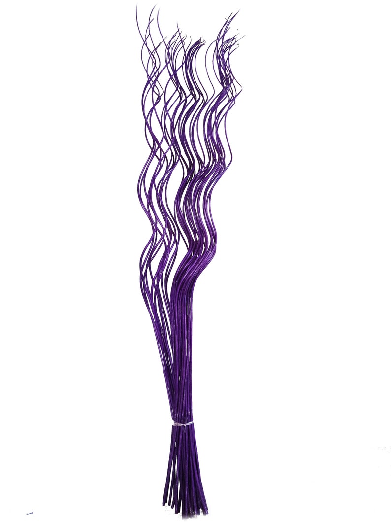 May include: A bunch of purple curly willow branches, tied together at the bottom.