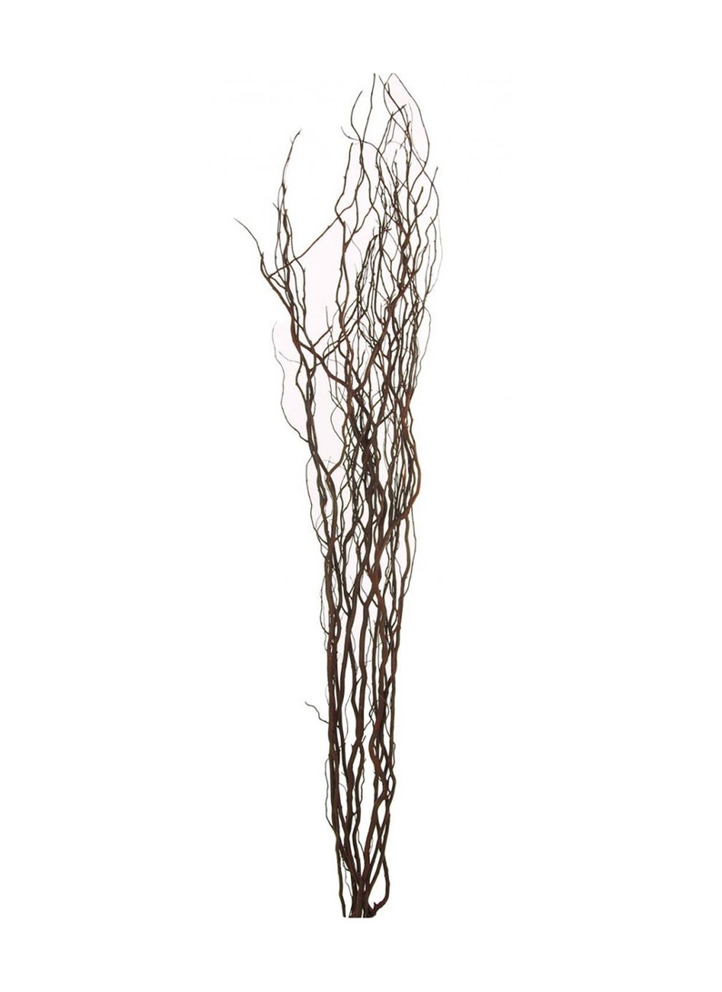 May include: A bundle of decorative brown branches with a natural, organic appearance. The branches are slender, with a variety of curves and twists, creating a textured and visually interesting display. Ideal for home decor or crafting projects.