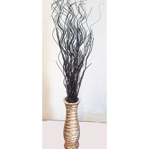 Contorted Hazel Corylus Branches Curly Twigs Corkscrew Natural Twisted  Stems Minimalist Japandi Decor Wabi Sabi Spring Twigs for Vase 