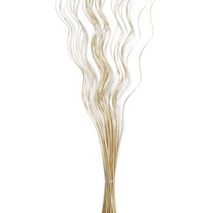 May include: A bunch of dried, wavy, light brown stems tied together. The stems are about 30 inches long and are perfect for adding a natural touch to your home decor.