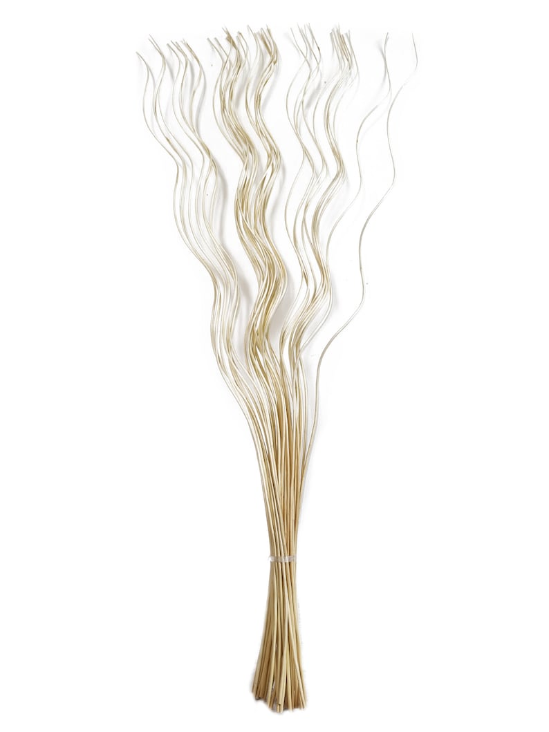 May include: A bunch of dried, wavy, light brown stems tied together. The stems are about 30 inches long and are perfect for adding a natural touch to your home decor.