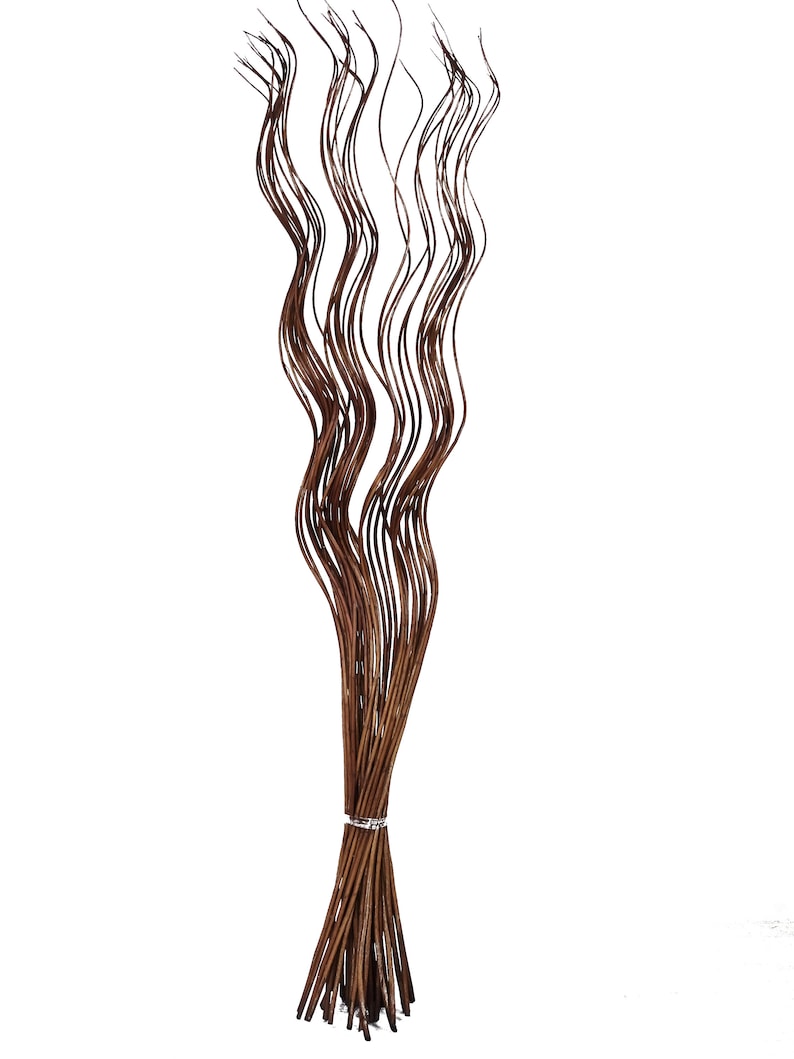 May include: A bunch of brown willow branches with a wavy, curly shape. The branches are tied together at the bottom.