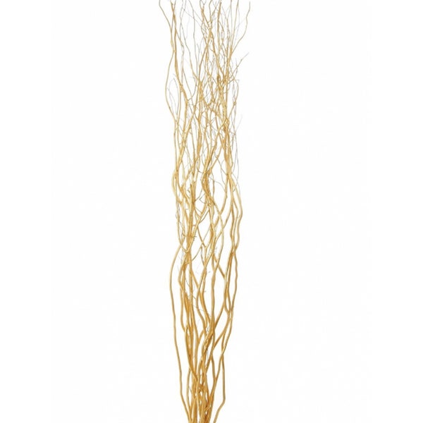 Gold Contorted  Willow Twigs Bunch, Curly Twisted Dried Vase Filler Corkscrew Branches 1.2M Branches 120cm tall