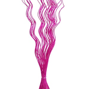 May include: A bunch of bright pink, thin, wavy stems, tied together at the bottom.