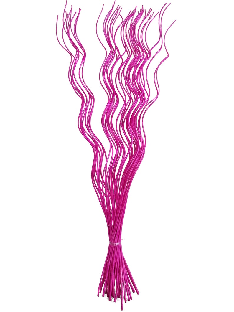 May include: A bunch of bright pink, thin, wavy stems, tied together at the bottom.
