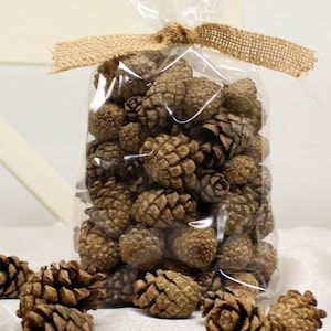 Natural Pine Cones in a bag -Large Pack Of 40-50 For Decoration Craft Home Decor Wreath Making Potpourri Autumn Decor