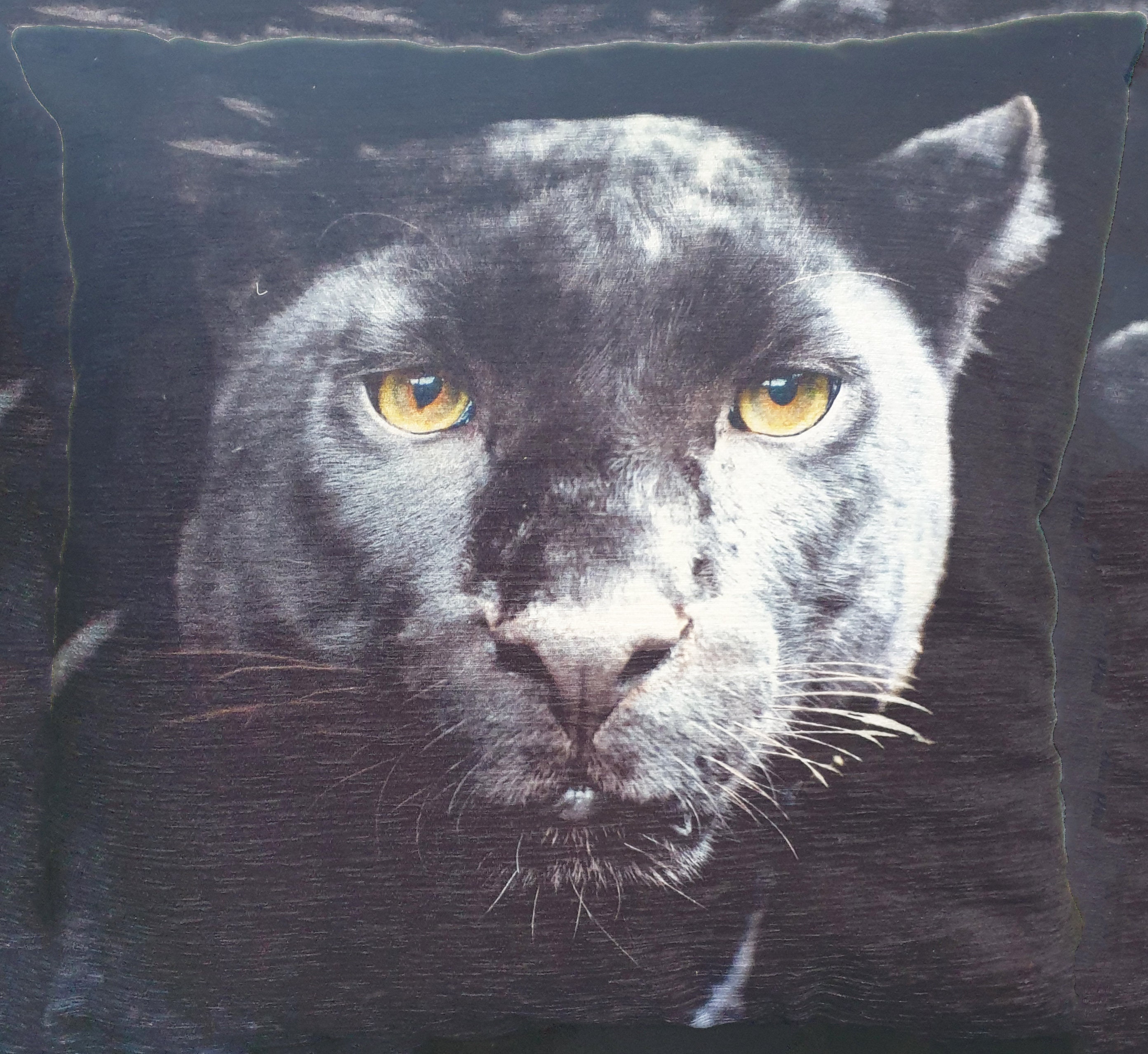 Black hotsell panther pillow
