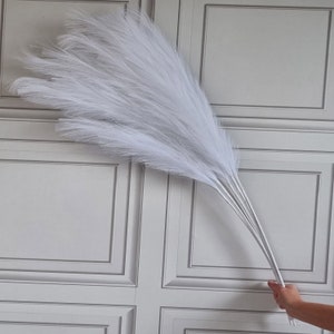 Può includere: Un mazzo di steli di erba della pampa bianca con piume piumose. Gli steli sono raggruppati e vengono tenuti da una mano.