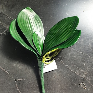 Artificial Orchid Leaves Butterfly Phalaenopsis Leaf Green Real Touch Decoration with Root for creating Artificial Orchid Displays