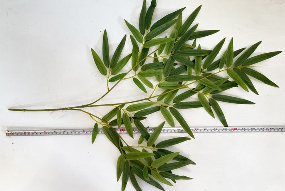 Bamboo Leaf Foliage for Floral Displays, 70cm Bamboo Leaves Spray