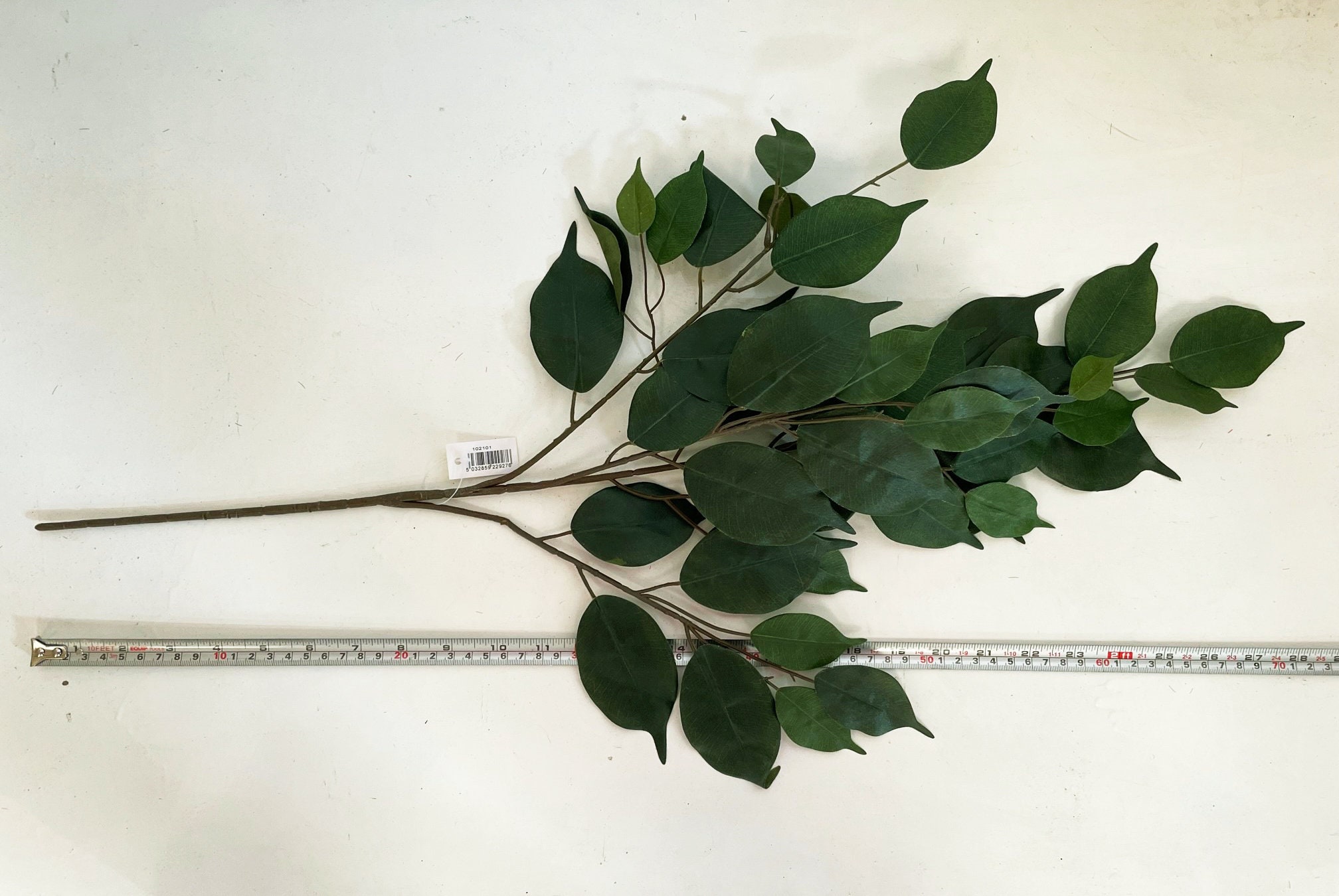 Bay Leaf Foliage for Floral Displays 74cm Bay Leaves Spray Etsy