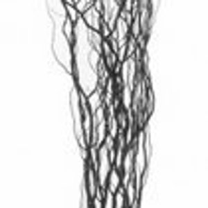 May include: A tall, vertical arrangement of dark, slender branches against a white background. The branches are intricately intertwined, creating a textured, natural aesthetic. The overall appearance suggests a decorative element, possibly for home decor or floral arrangements.