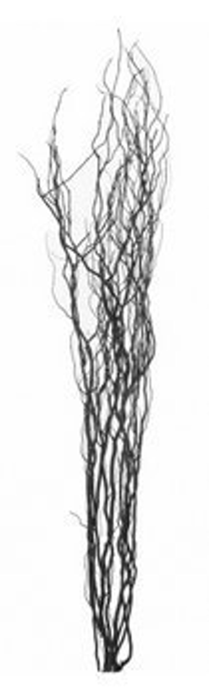 May include: A tall, vertical arrangement of dark, slender branches against a white background. The branches are intricately intertwined, creating a textured, natural aesthetic. The overall appearance suggests a decorative element, possibly for home decor or floral arrangements.