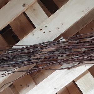May include: A bundle of thin, dark brown twigs, possibly willow or similar, arranged on a light-colored wooden pallet. The twigs are long and slender, with a natural, organic appearance. The wood grain of the pallet is visible.