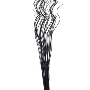 May include: A bunch of black, thin, flexible stems, resembling dried grass, are bundled together with a red rubber band. The stems are arranged in a loose, flowing pattern, creating a wispy, airy look.