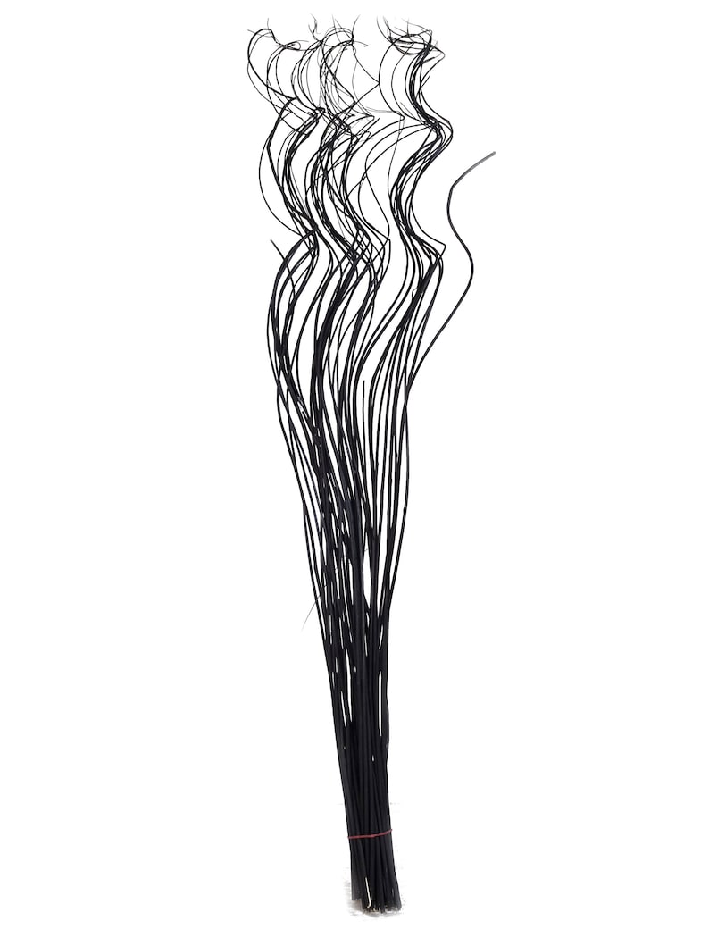May include: A bunch of black, thin, flexible stems, resembling dried grass, are bundled together with a red rubber band. The stems are arranged in a loose, flowing pattern, creating a wispy, airy look.