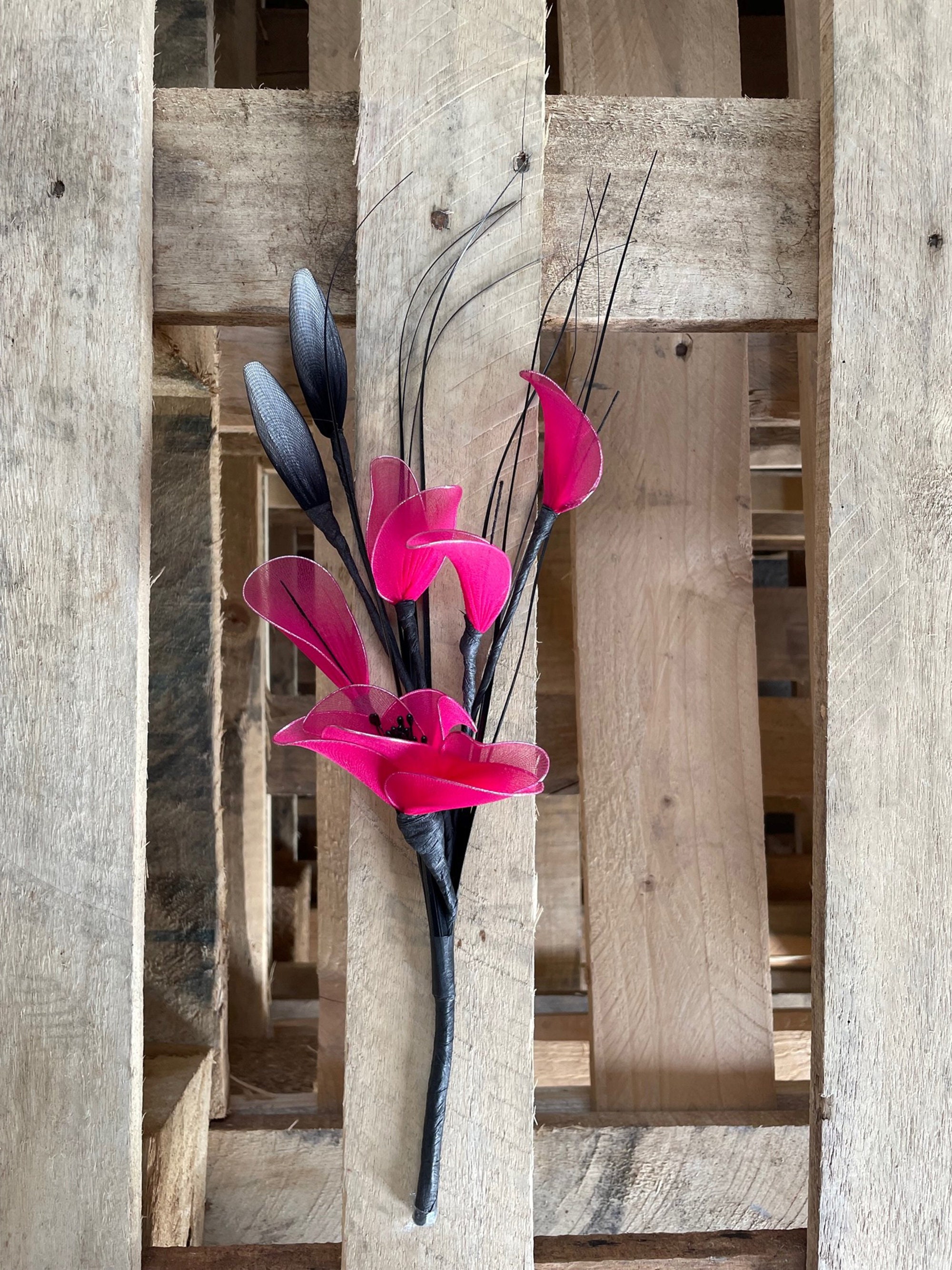 toom kentia palme Kentiapalme kaufen | Howea forsteriana main image 1