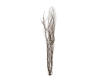 Natural Contorted  Willow Twigs Bunch, Curly Twisted Dried Vase Filler Corkscrew Branches 115cm Tall-Cream -Brown- Black- Silver- Gold