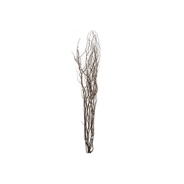 Natural Contorted  Willow Twigs Bunch, Curly Twisted Dried Vase Filler Corkscrew Branches 115cm Tall-Cream -Brown- Black- Silver- Gold