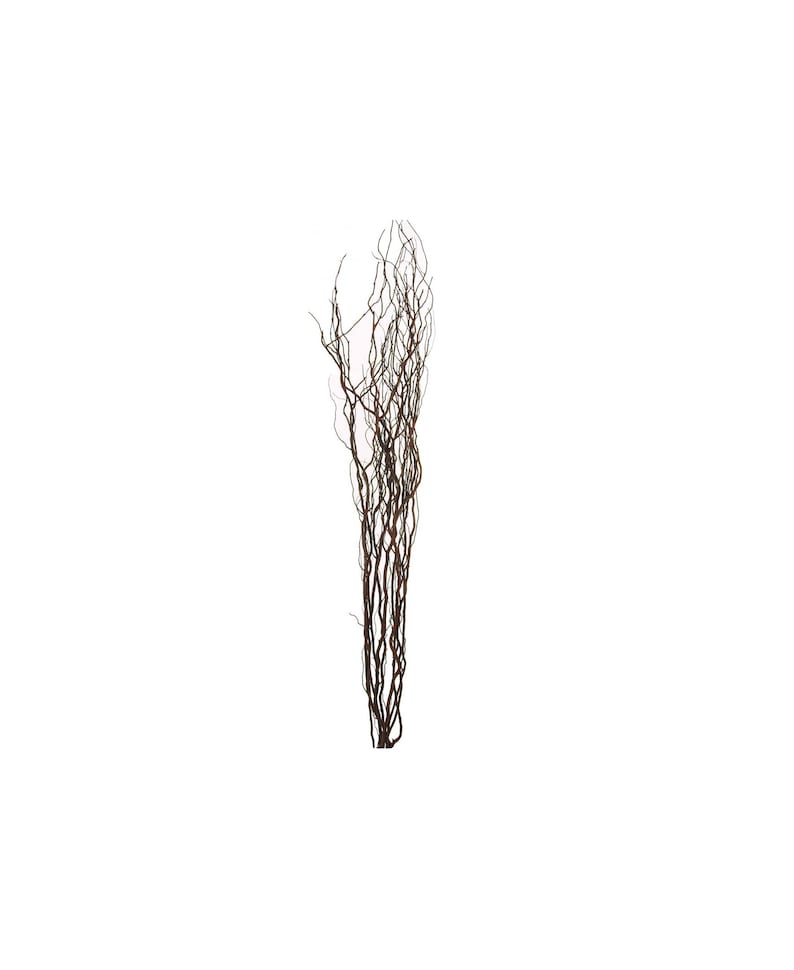 May include: A bundle of dried, brown decorative branches against a white background. The branches are thin, with a natural, organic appearance. They are suitable for floral arrangements or home decor.