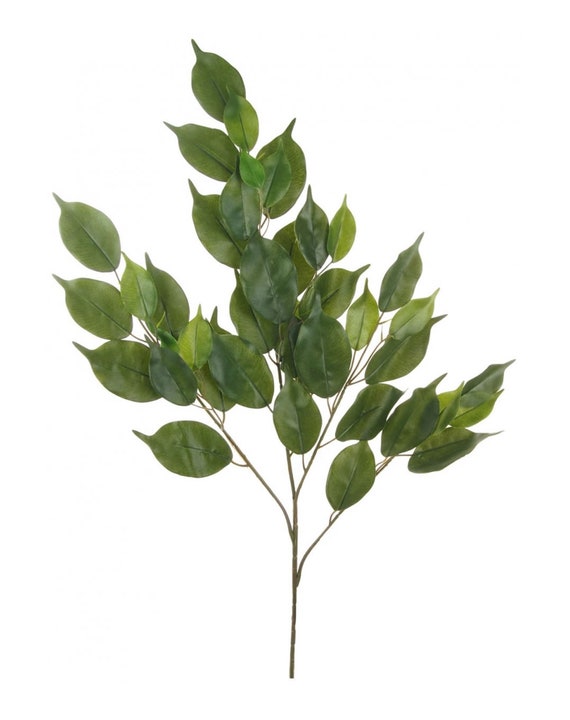 Bay Leaf Foliage for Floral Displays 74cm Bay Leaves Spray Etsy