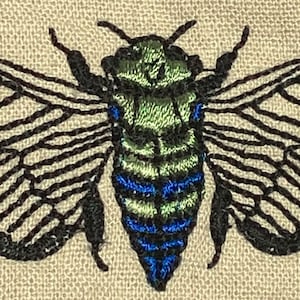 Cicada Colorful Realistic | Fly Bug Insect Designs | Digital Machine Embroidery File | Instant Download