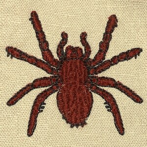 Puede incluir: Una araña bordada de color marrón con ocho patas sobre un fondo de tela beige.