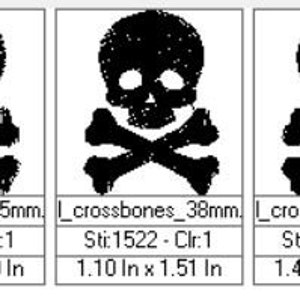 Skull and Crossbones Icon | Digital Embroidery File | Halloween, Posion ...