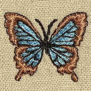 May include: A blue and brown embroidered butterfly with detailed wings.