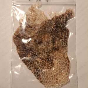 May include: A piece of snake skin in a clear plastic bag. The snake skin is brown and tan with a scale pattern. The bag is labeled "4" x 4".