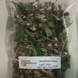 Multiflora ROSE LITTER