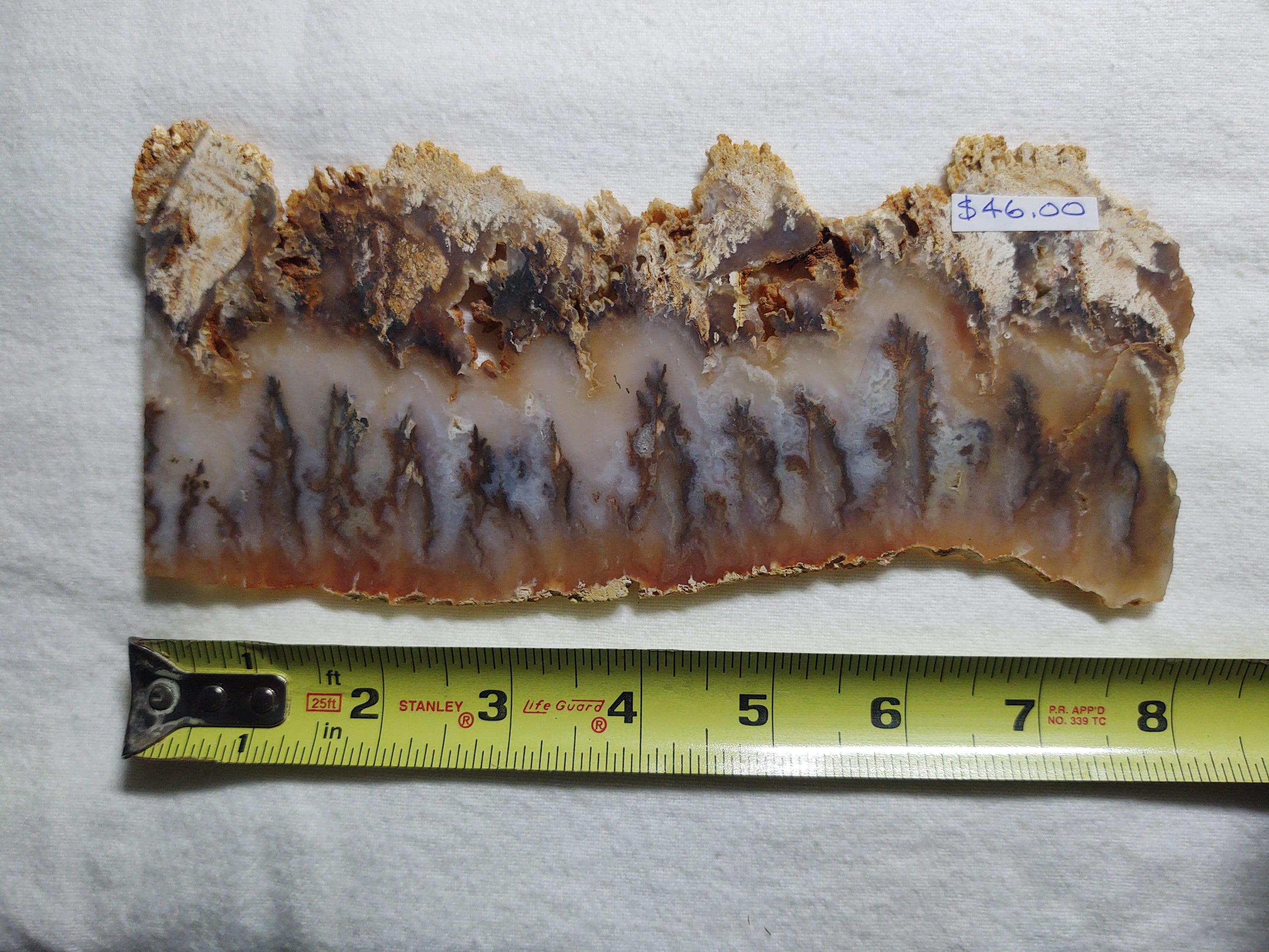 Graveyard Point Plume Agate Etsy