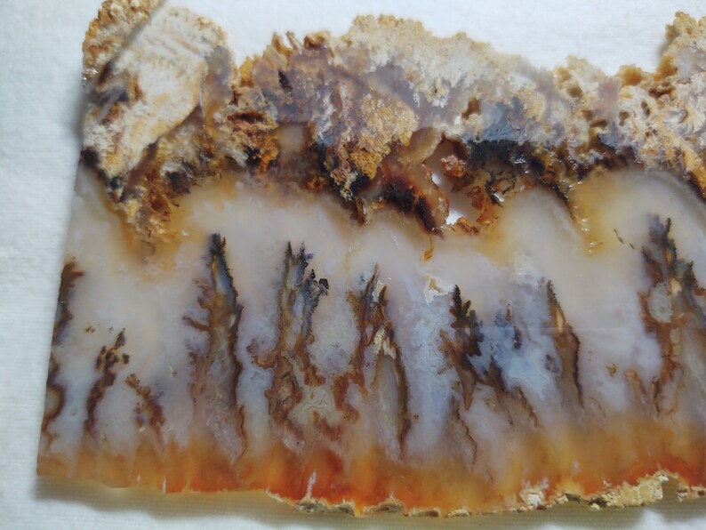 Graveyard Point Plume Agate Etsy