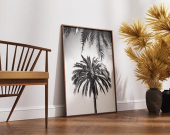 Black and White Palm Tree Photography Print | Modern Wall Art Prints | Palm Tree Wall Art | Summer Print | Monochrome Palm Tree | Unframed