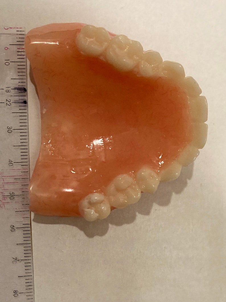 Premium High End False Teeth Upper Denture Premium Gag Gift Etsy