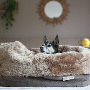 Dog snuggle bed | Furry sleep nest | Burrow bed for small and medium pets