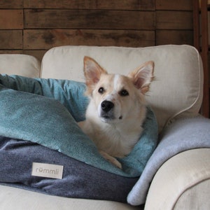 Snuggle dog bed | Pet sleeping bag | Dog travel bed | Modern dog bed