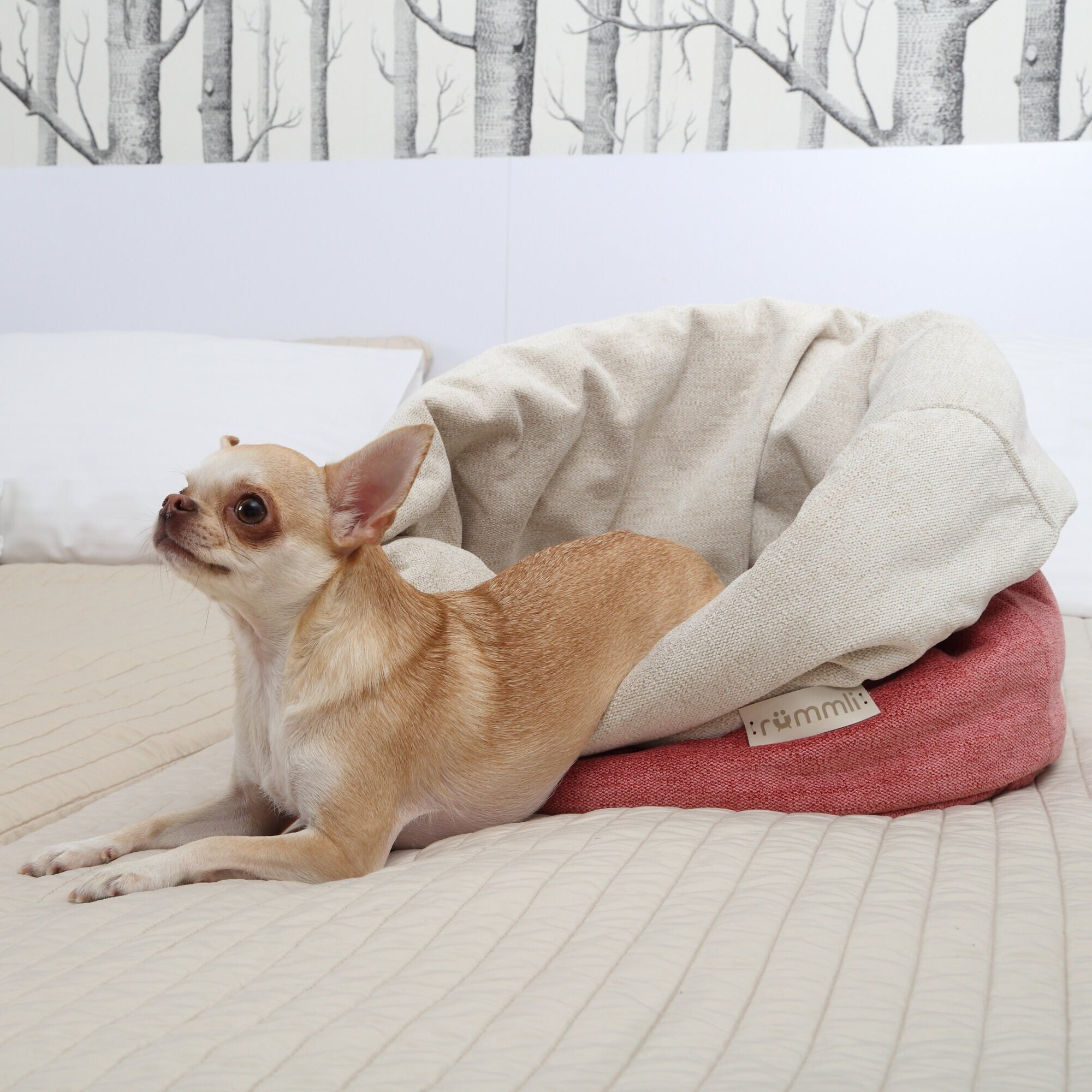 Great & Small Snuggle&Snooze Soft Pet Blanket Bed | Pets Corner