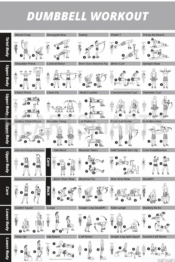 Workout Poster Dumbbell Exercise Poster Laminated Free Weight Strength