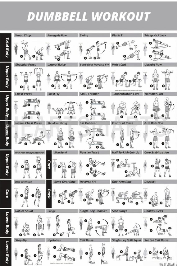 Workout Poster Dumbbell Exercise Poster Laminated Free Weight Strength