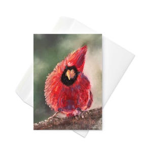 Greeting card - Cardinal Expression - Bird print for nature and bird lovers