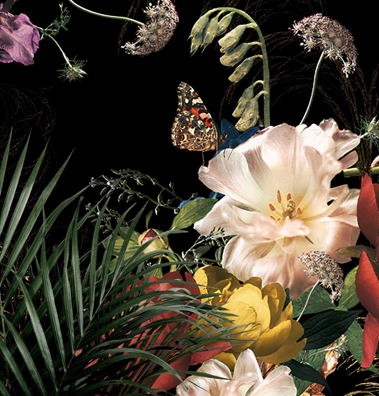 Peonies Flowers Floral Wallpaper Black Background Peel and - Etsy